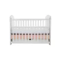 Carucior de papusi 2 in 1 Ecotoys - Roz