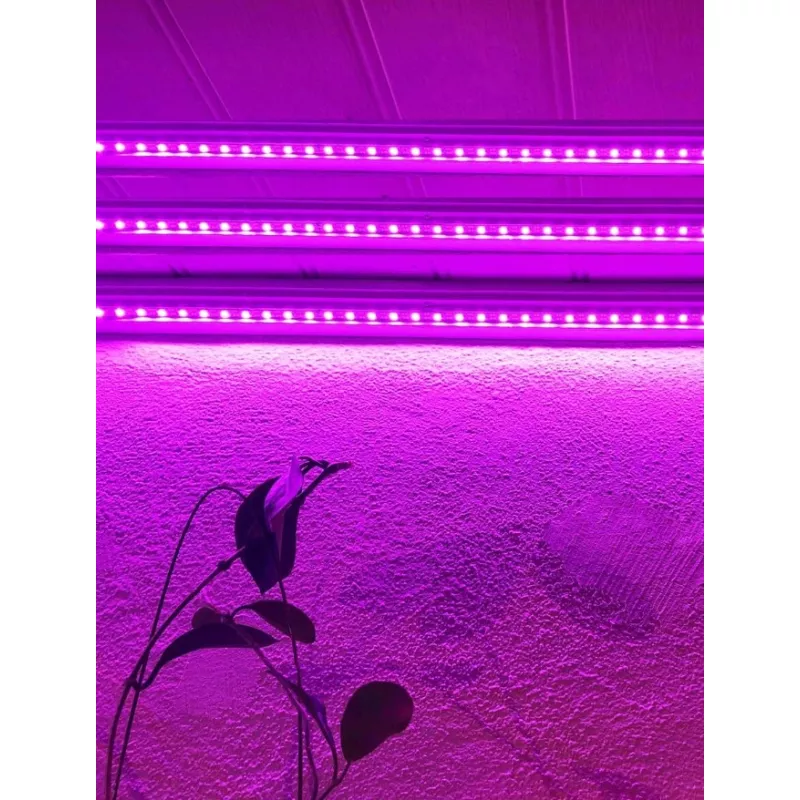 Lumina LED pentru cresterea plantelor – 2 m Inovius imagine 2022 by aka-home.ro